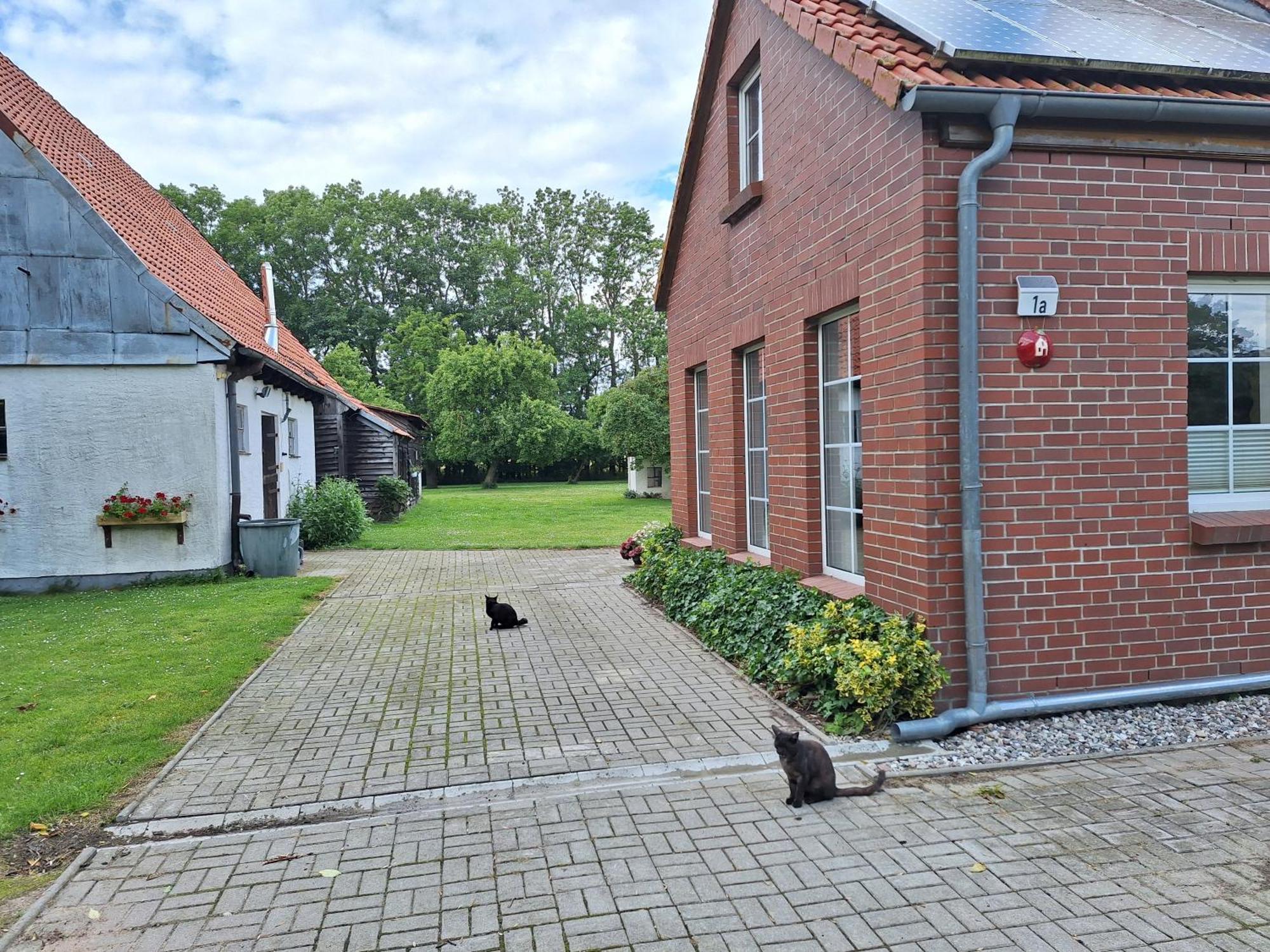 Das Apfelhaus Rappin Extérieur photo